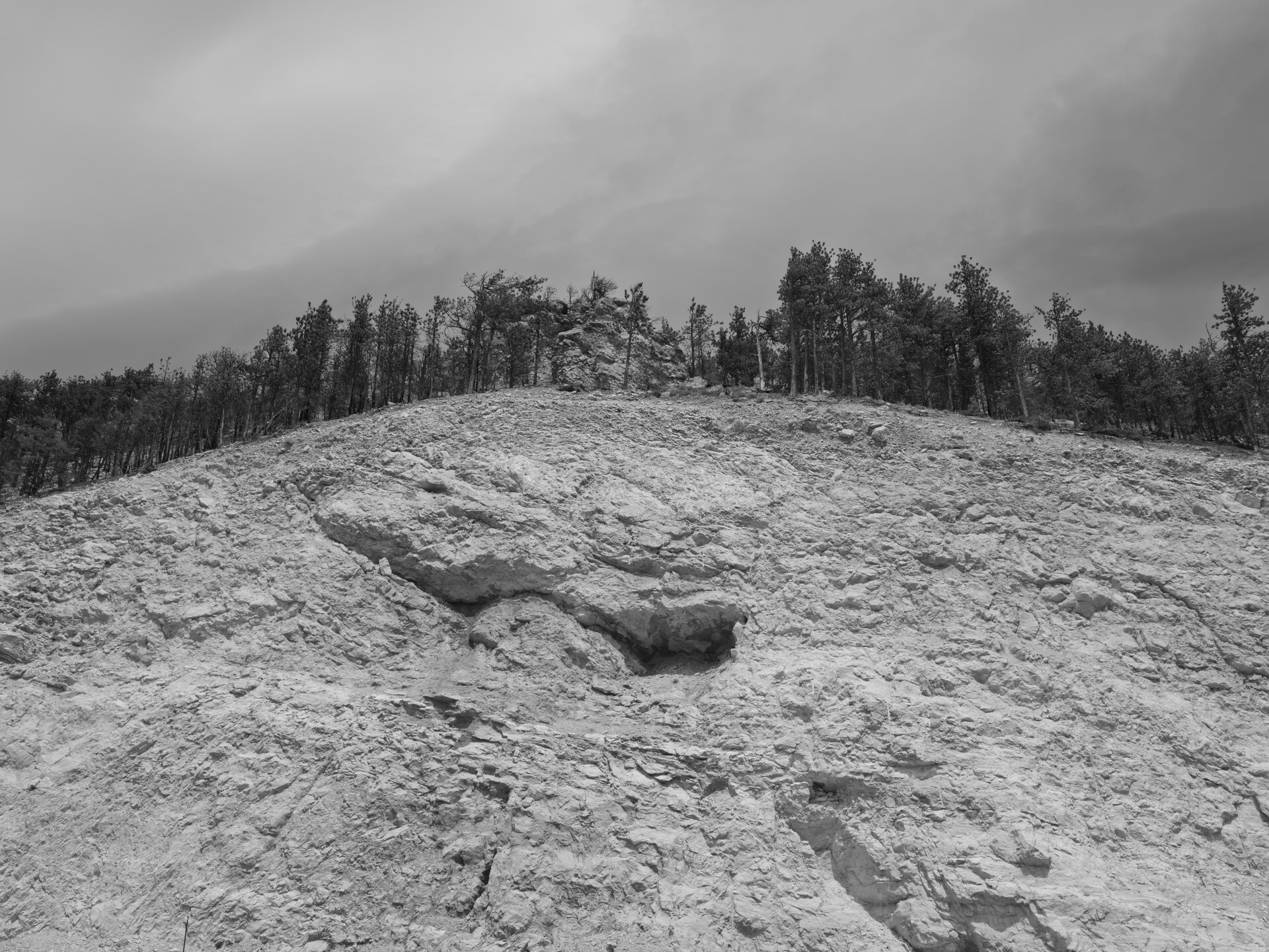 File:Public Lands Institute - Bighorn National Forest - 001.tif