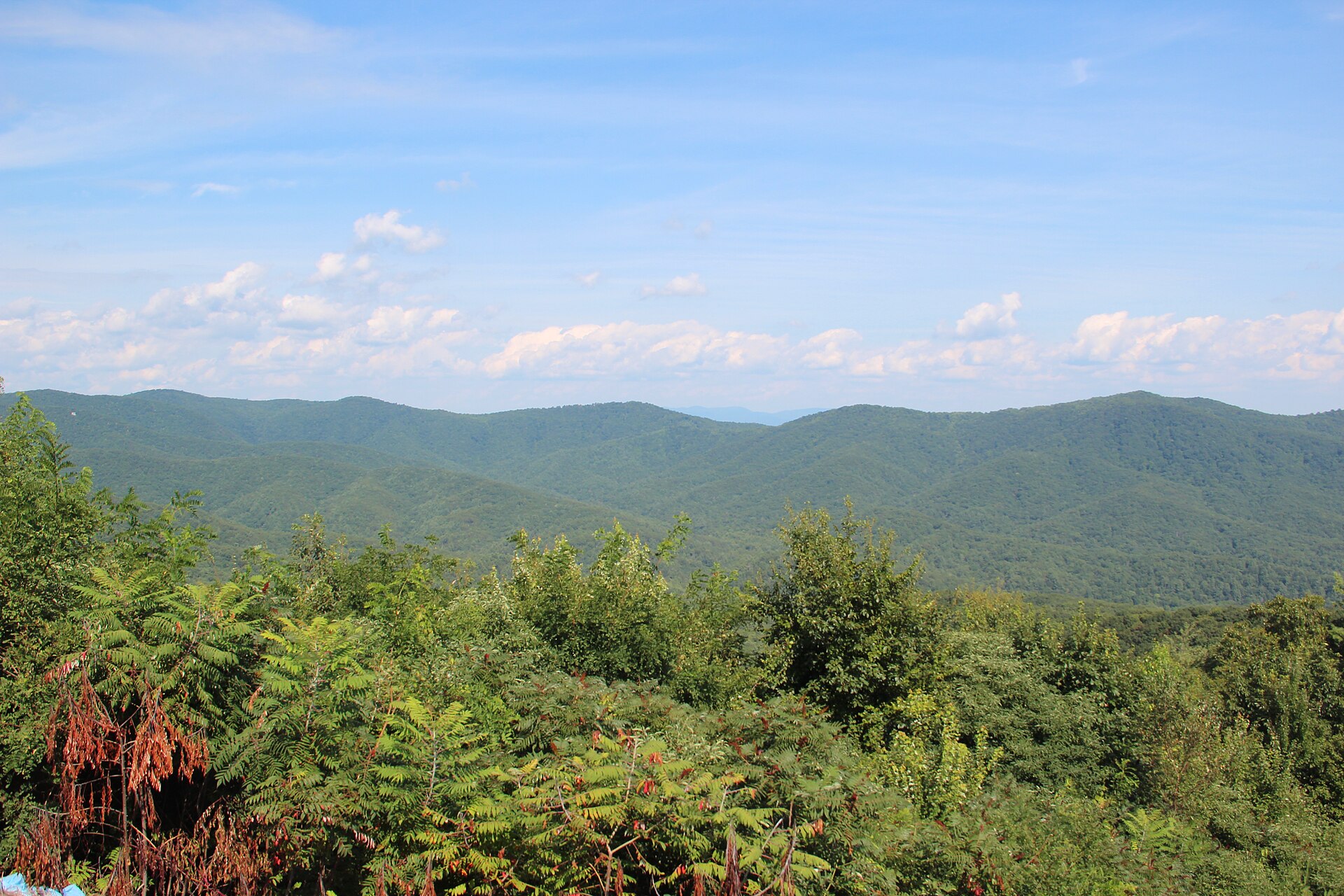 File:Cohutta Mountains - panoramio (1).jpg