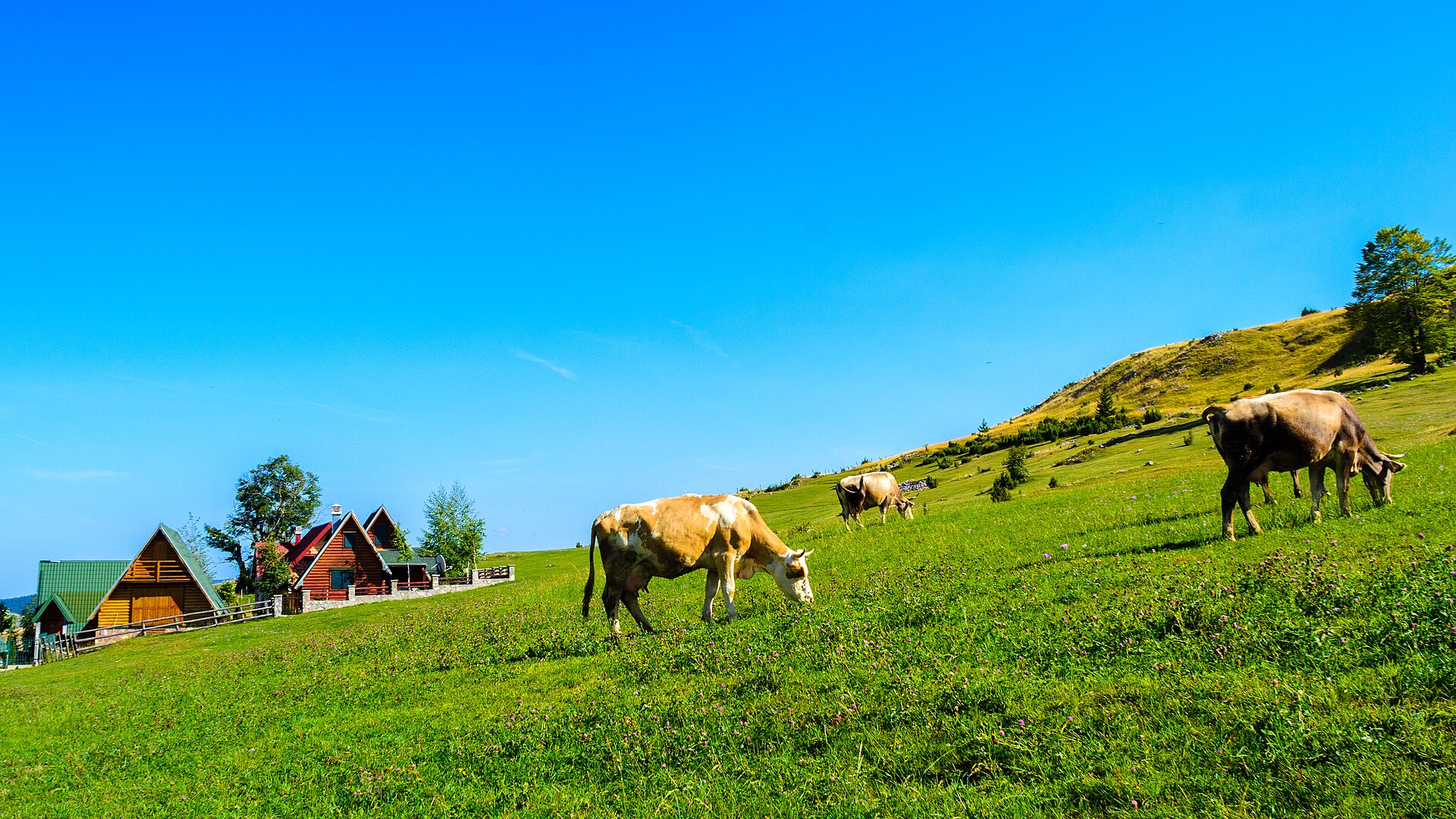 File:Durmitor (21419490225).jpg