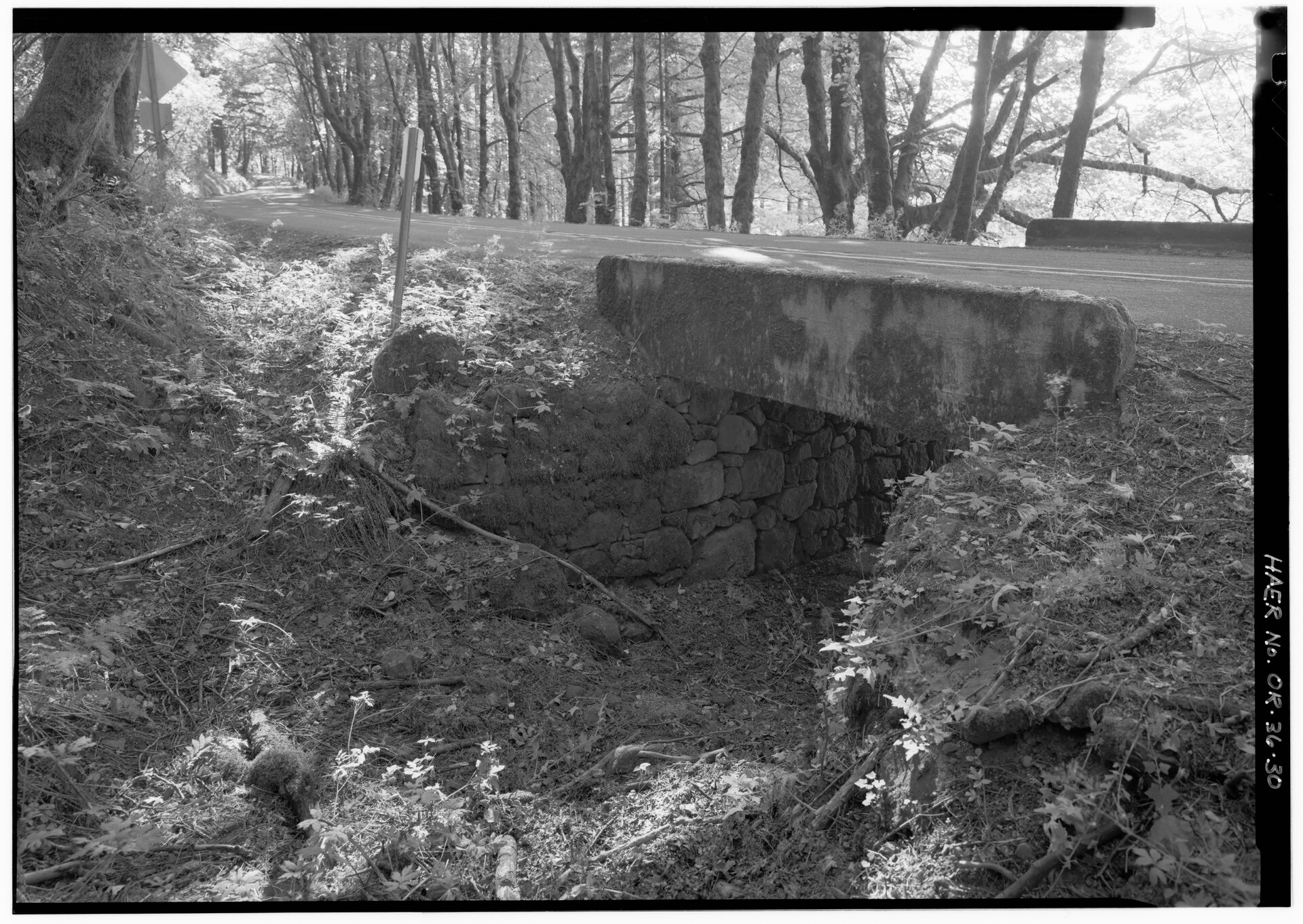 File:CATTLEPASS NEAR BRIDAL VEIL FALLS. - Historic Columbia River Highway, Troutdale, Multnomah County, OR HAER ORE,26-TROUT.V,1-30.tif