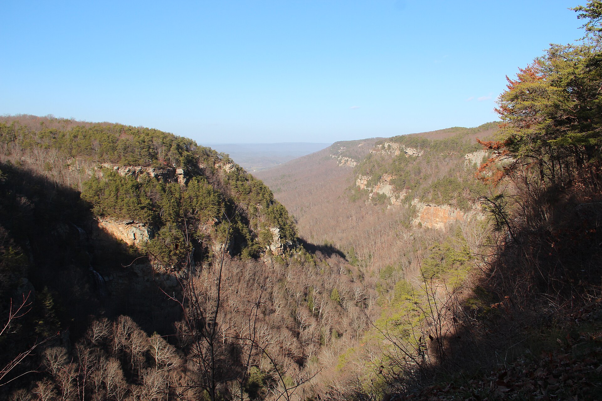 File:Cloudland canyon view.JPG