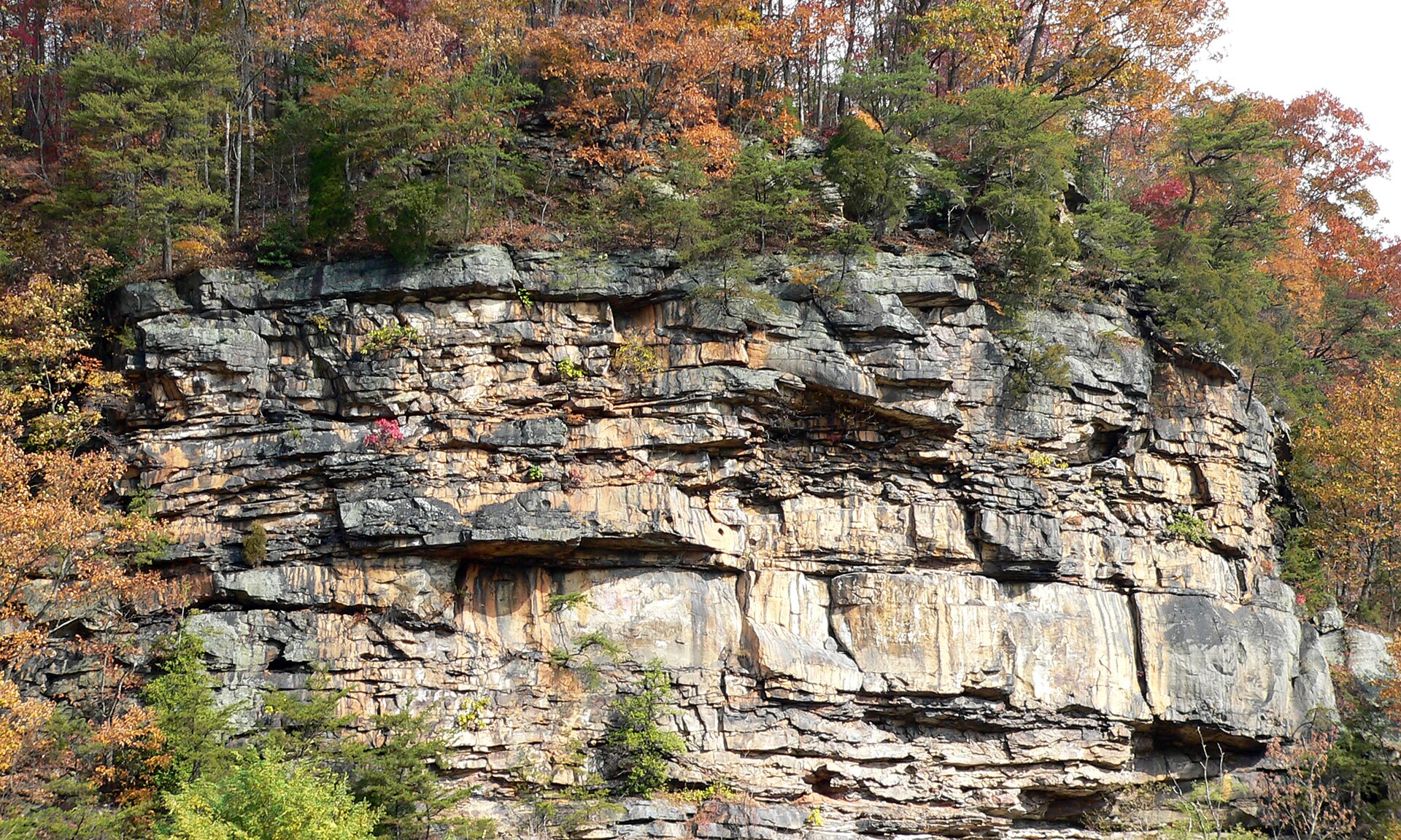 File:Cliffs above Gauley-27527.jpg