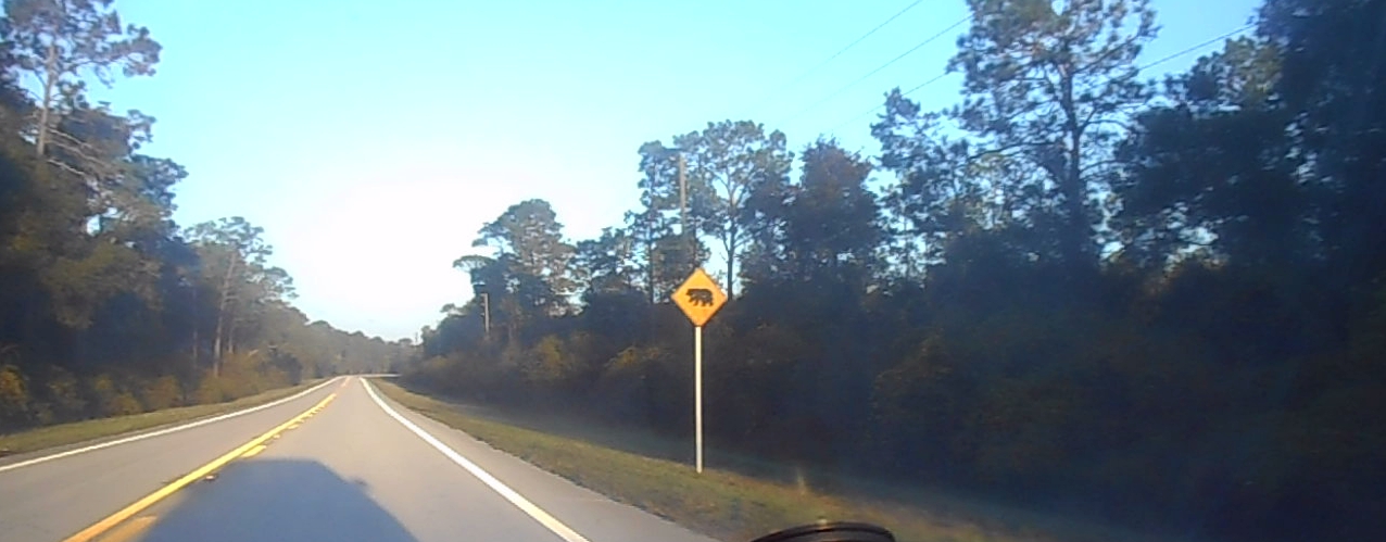 File:NB FL SR 19; Bear Crossing near Salt Springs.jpg