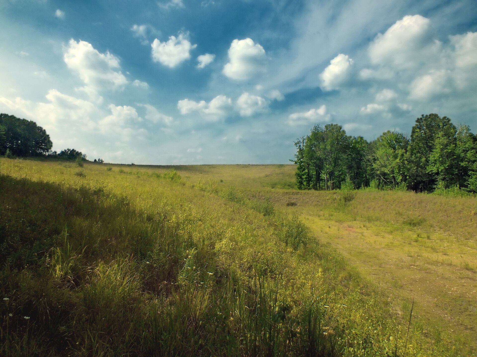 File:Flickr - Nicholas T - German Settlement Reclamation Project (Revisited) (1).jpg