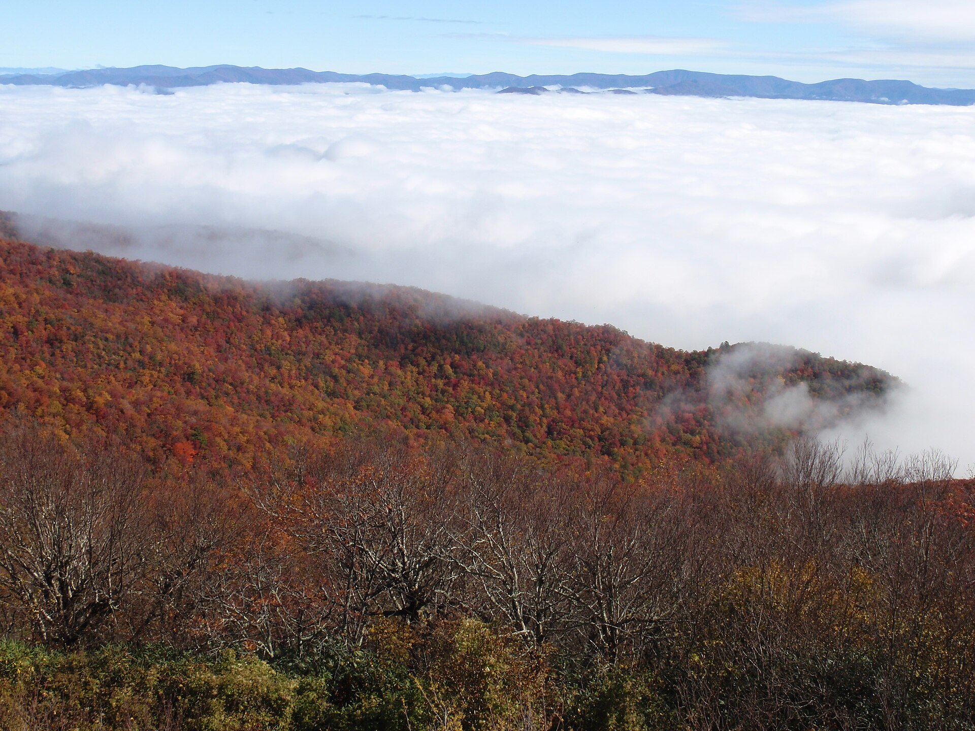 File:View from Brasstown Bald (6241055119).jpg