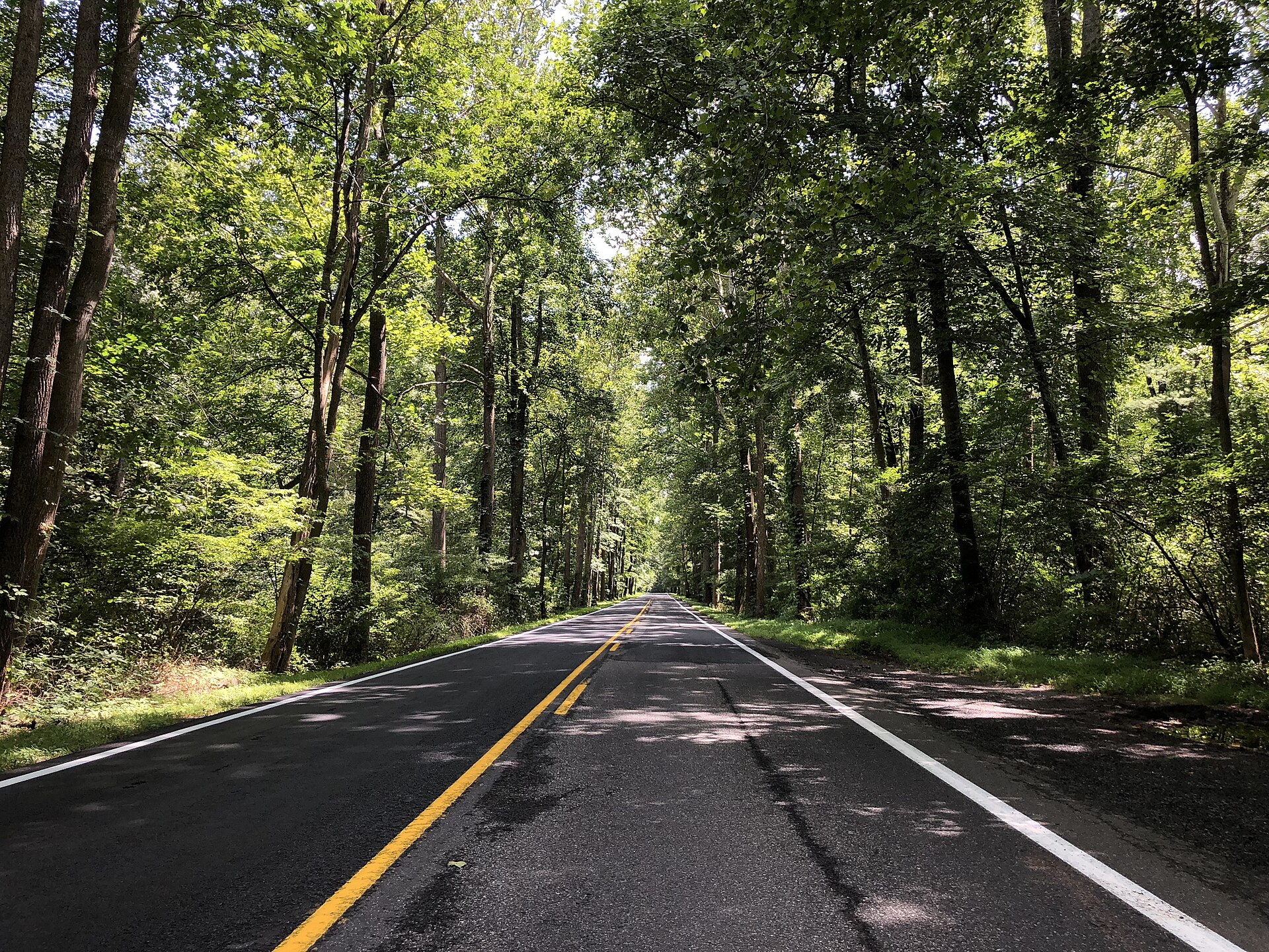 File:2019-08-09 14 21 14 View east along U.S. Route 33 (Rawley Pike) within the George Washington National Forest near Rawley Springs, Rockingham County, Virginia.jpg