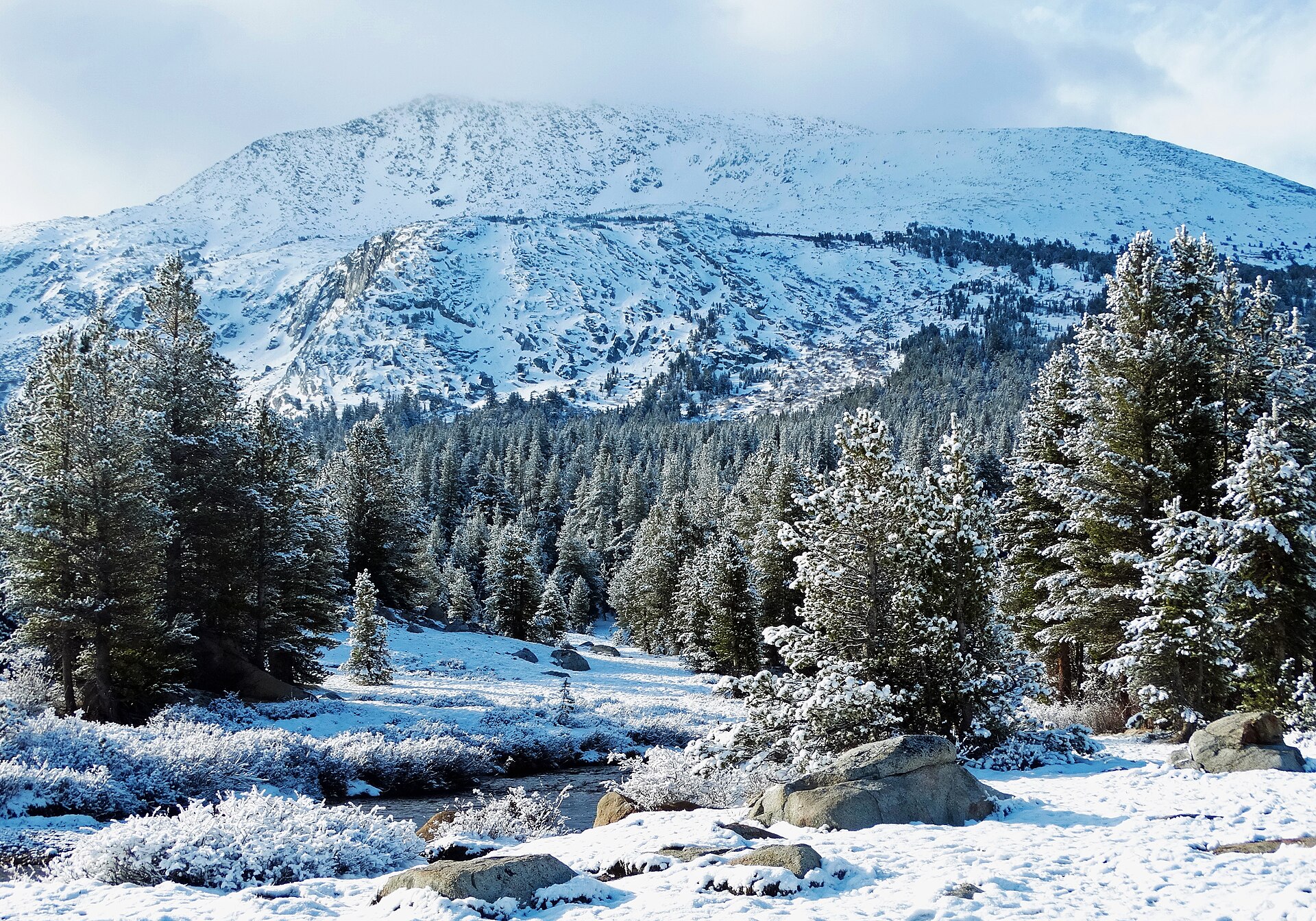 File:Early Snow, Yosemite High Country 2015 (32651222015).jpg